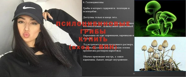 бутират Бородино