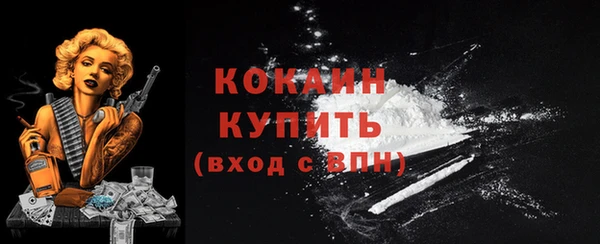 молекула духа Богородск