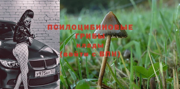 прущая мука Богородицк