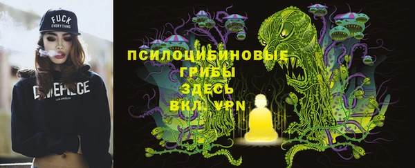 бутират Бородино